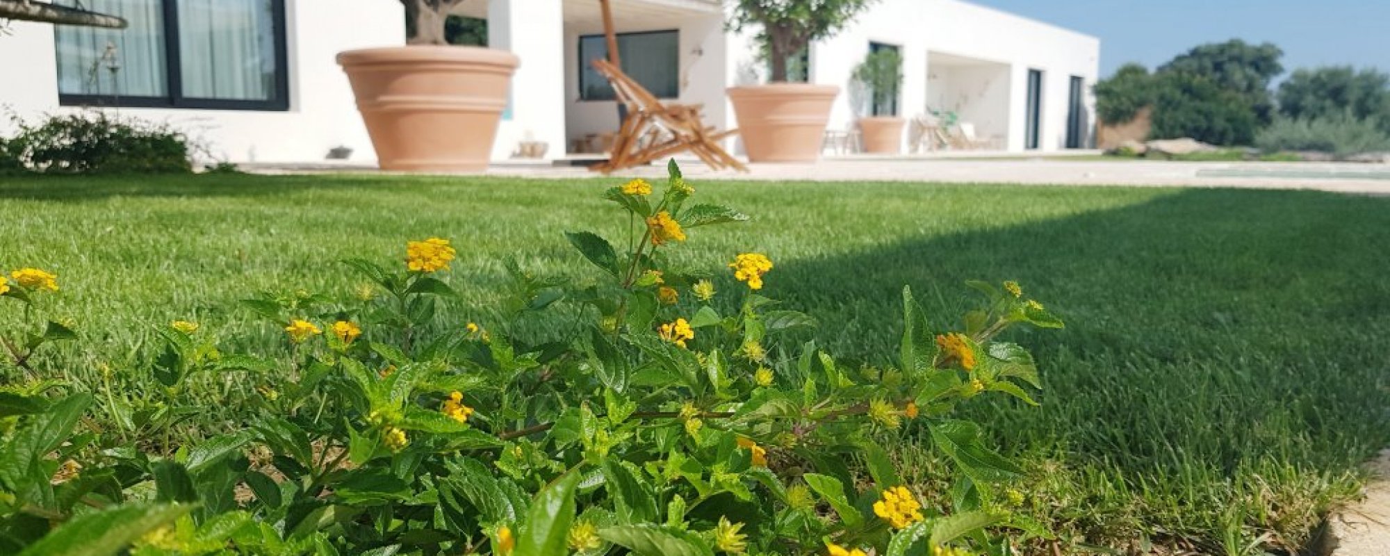 20190719_103913-01