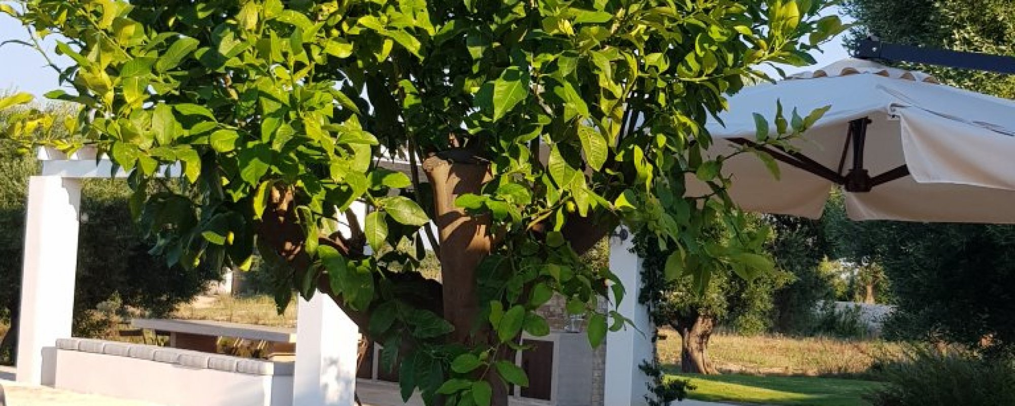 20190720_194056