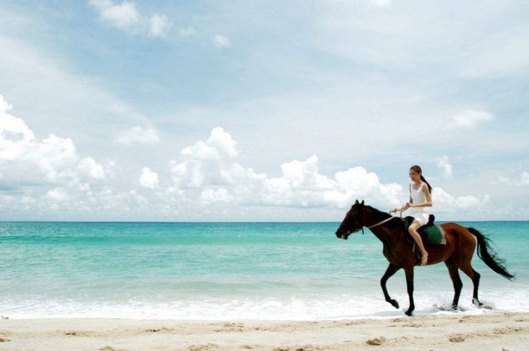 HorseRiding HorseRiding