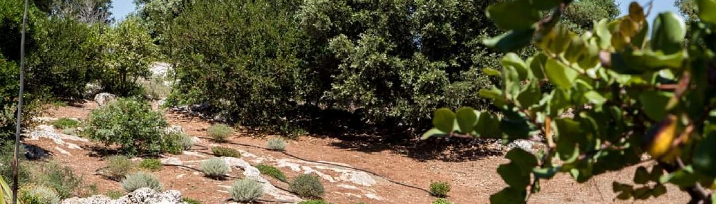 תמונה שתופיע מתחת לAgriculture בfacilities תמונה שתופיע מתחת לAgriculture בfacilities